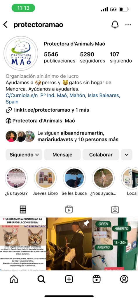 Instagram antiguo protectora