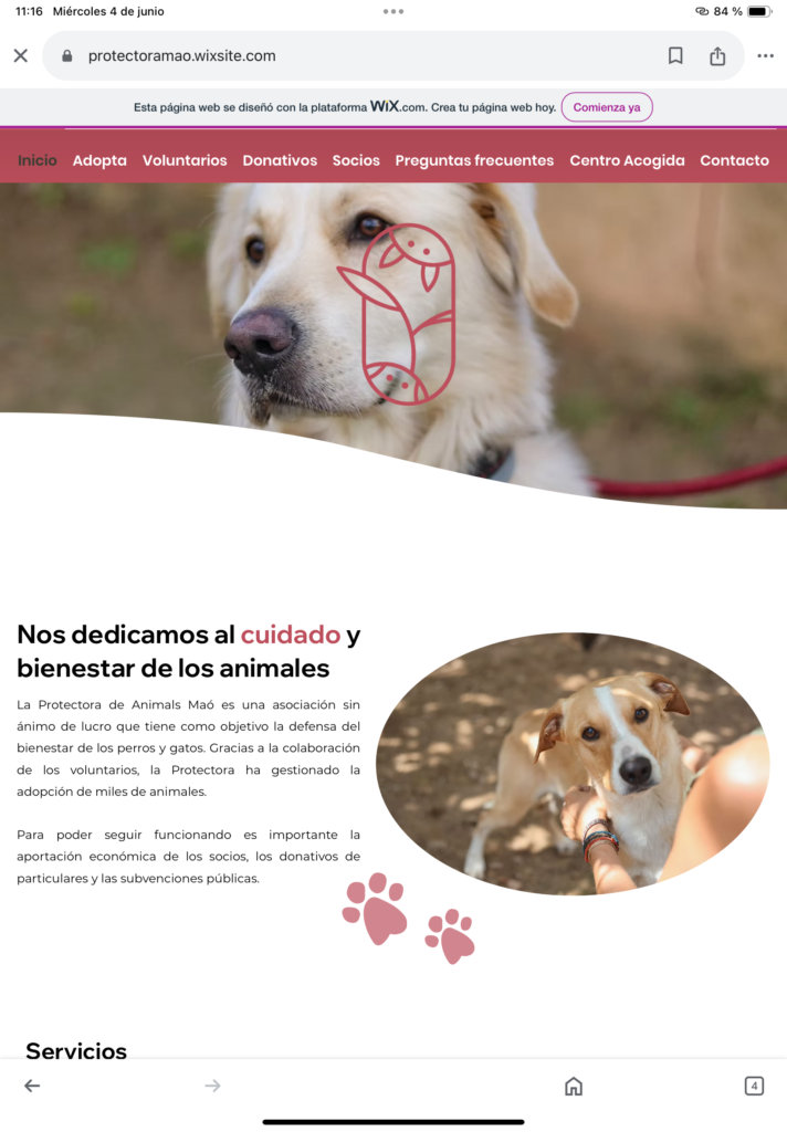 Imagen página web